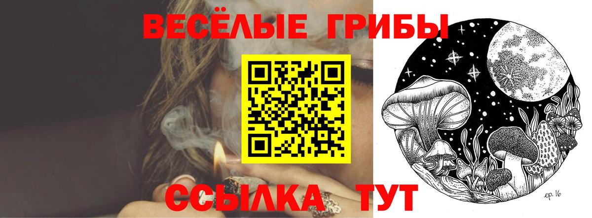 Псилоцибиновые грибы мухоморы  Вход с VPN  Псилоцибиновые грибы прущие грибы  даркнет сайт  Чапаевск 