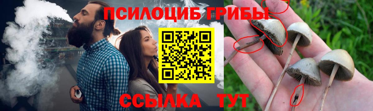 Галлюциногенные грибы Cubensis Чапаевск